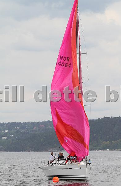Bundefjorden2012 149.jpg